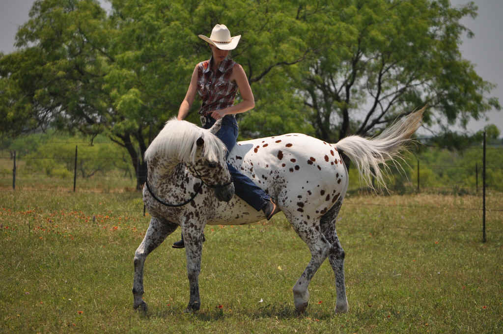 bareback_flexing_001.jpg (351332 bytes)